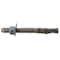 Torquemaster Torquemaster Wedge Anchor, 3/8" Dia., 3-3/4" L, Stainless Steel Blue Ruspert, 25 PK 55220 - alternate 1